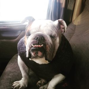 Meet your Posher, Frank